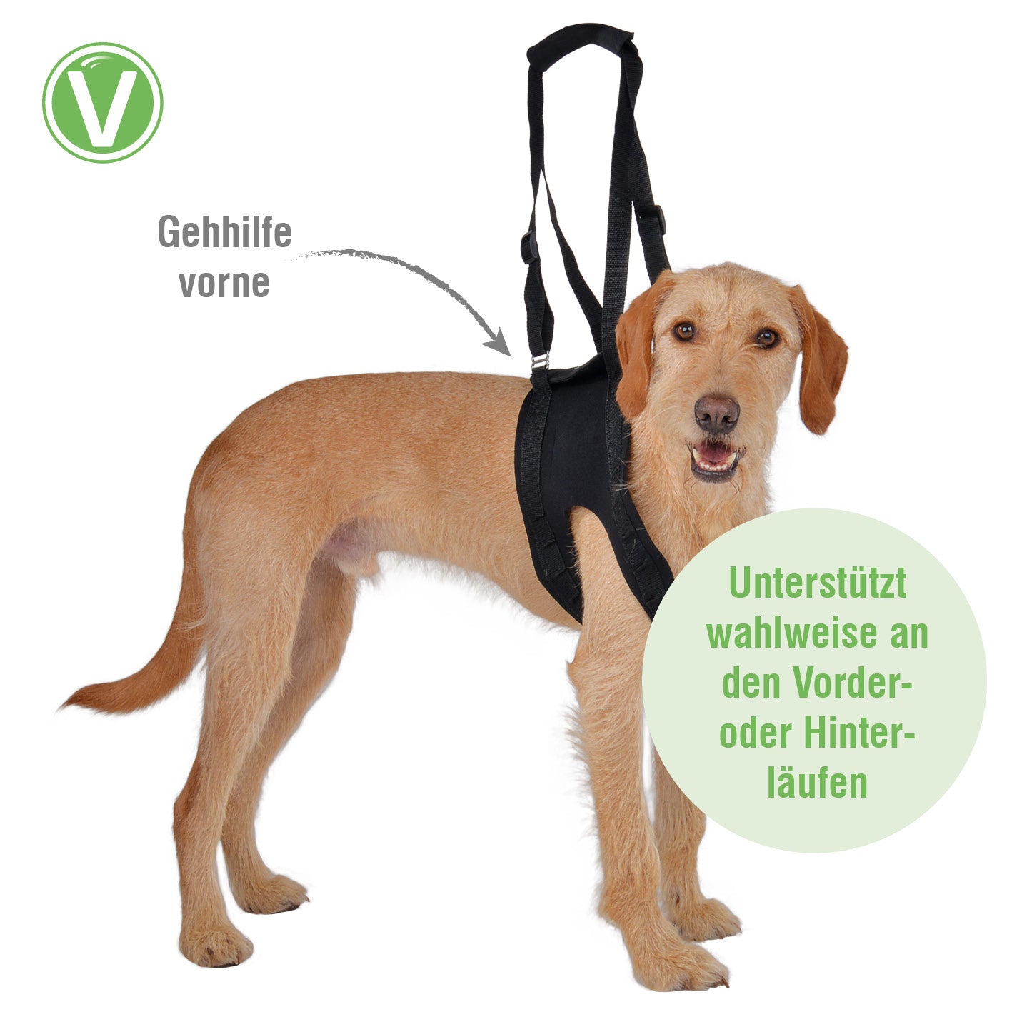 Vetlando-Gehhilfe-3