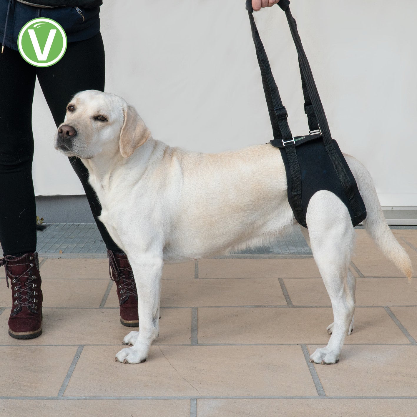 Vetlando-Gehhilfe-8