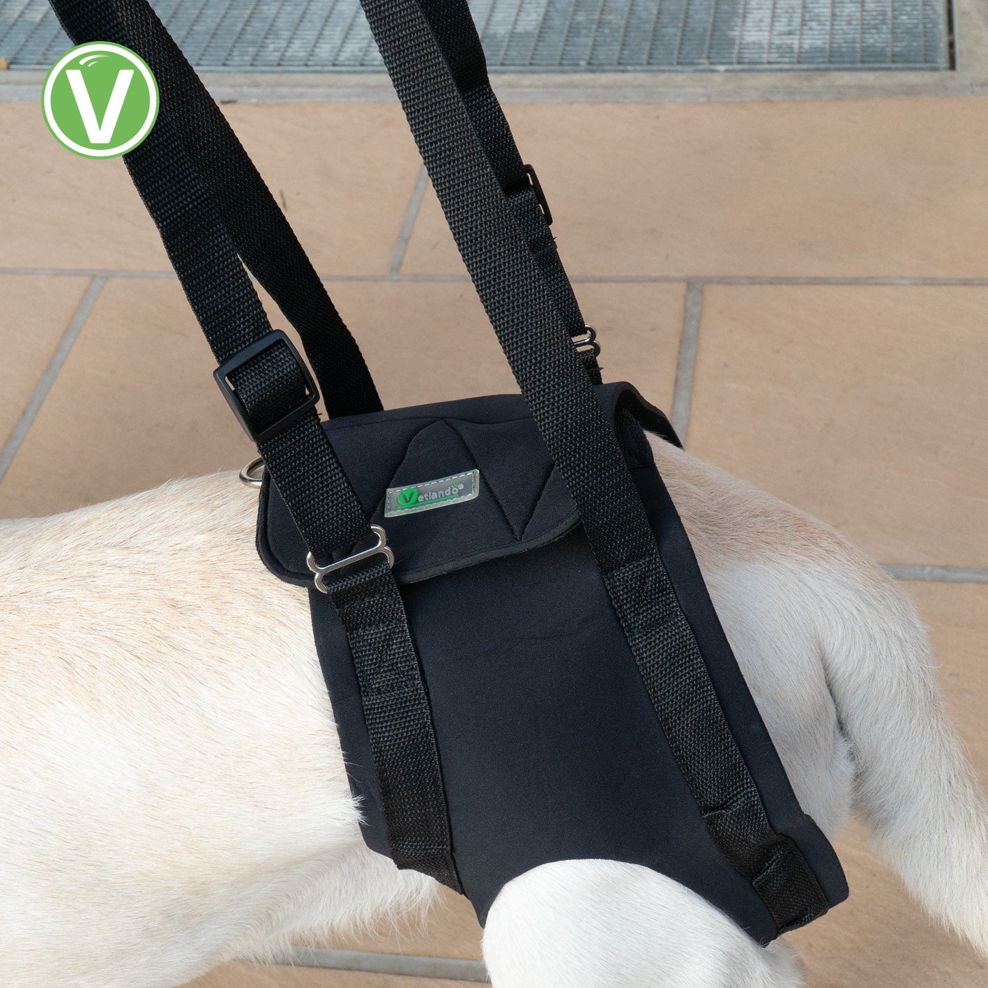 Vetlando-Gehhilfe-9