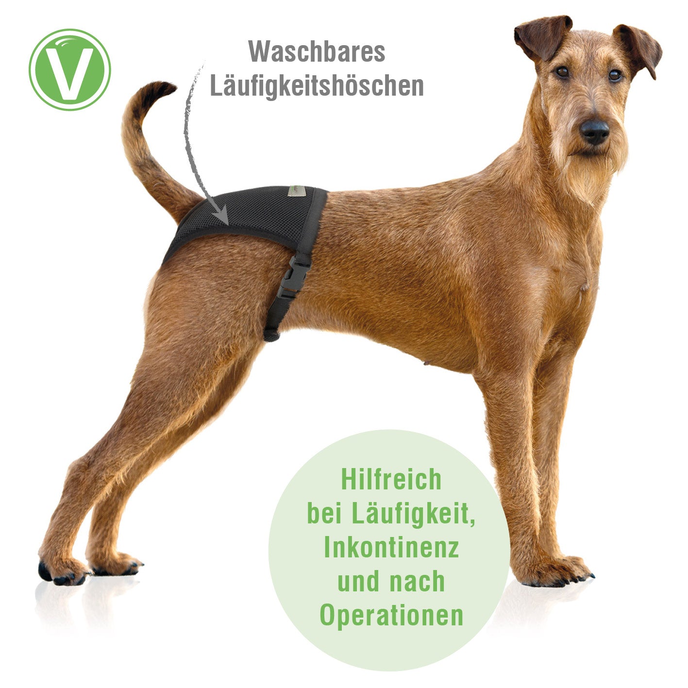 Vetlando-Laeufigkeitshoeschen-3