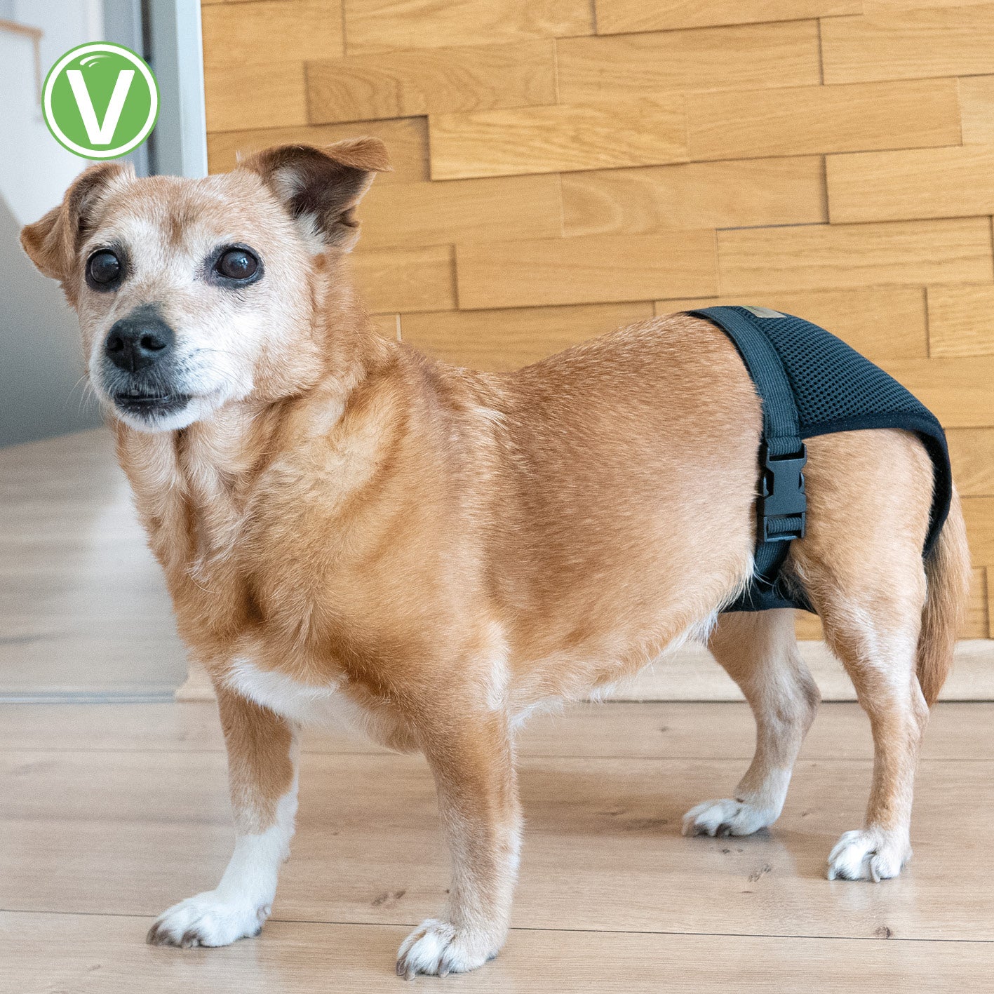 Vetlando-Laeufigkeitshoeschen-7