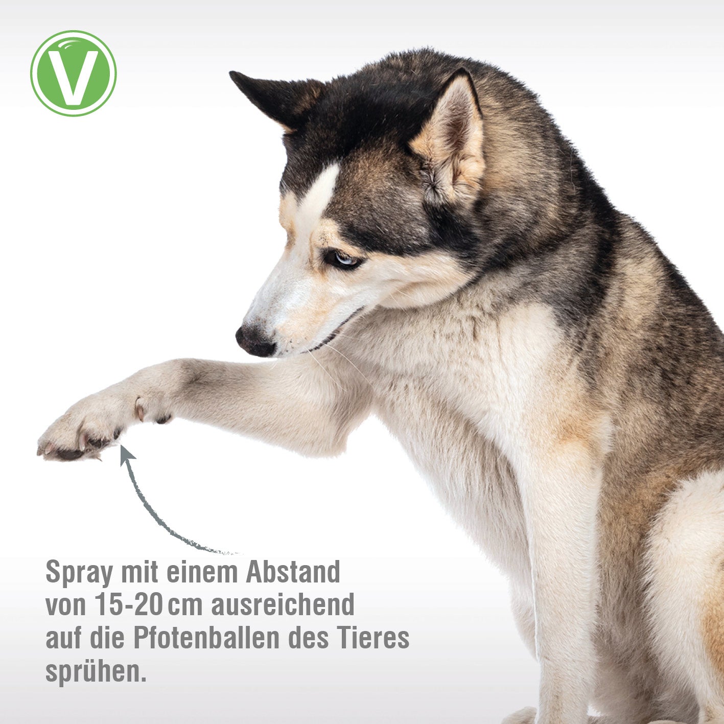 Vetlando-Pfotenpflege-4