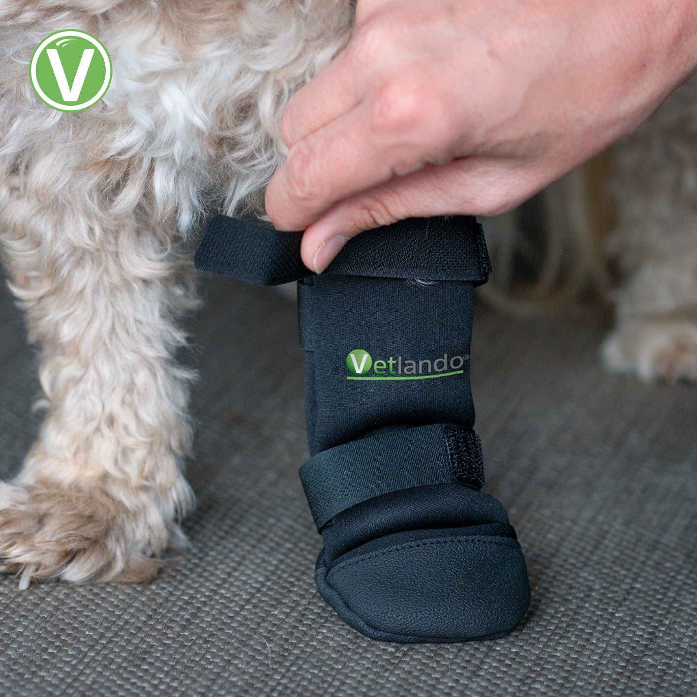 Vetlando-Pfotenschutzschuh-6