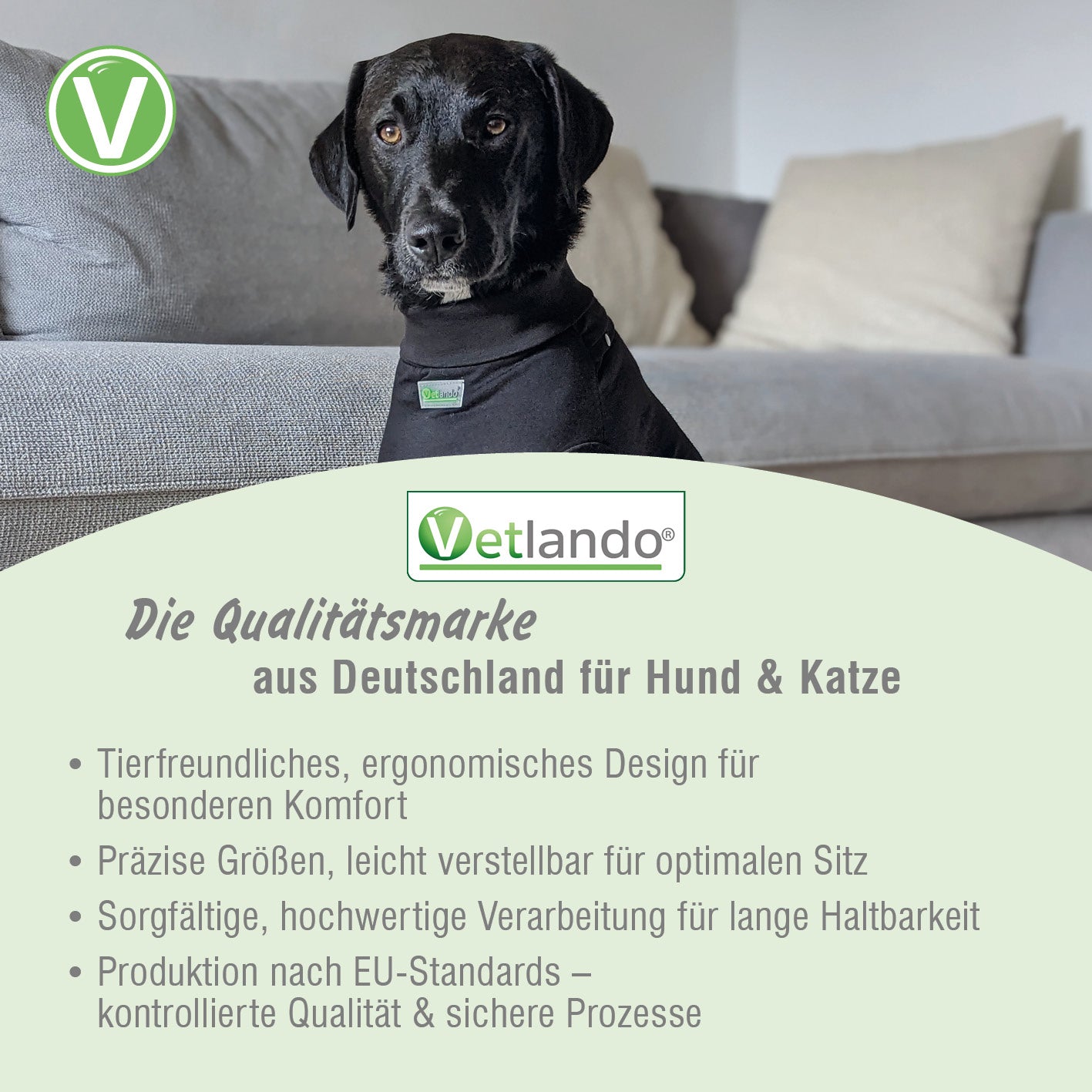 Vetlando-Post-OP-Body-11