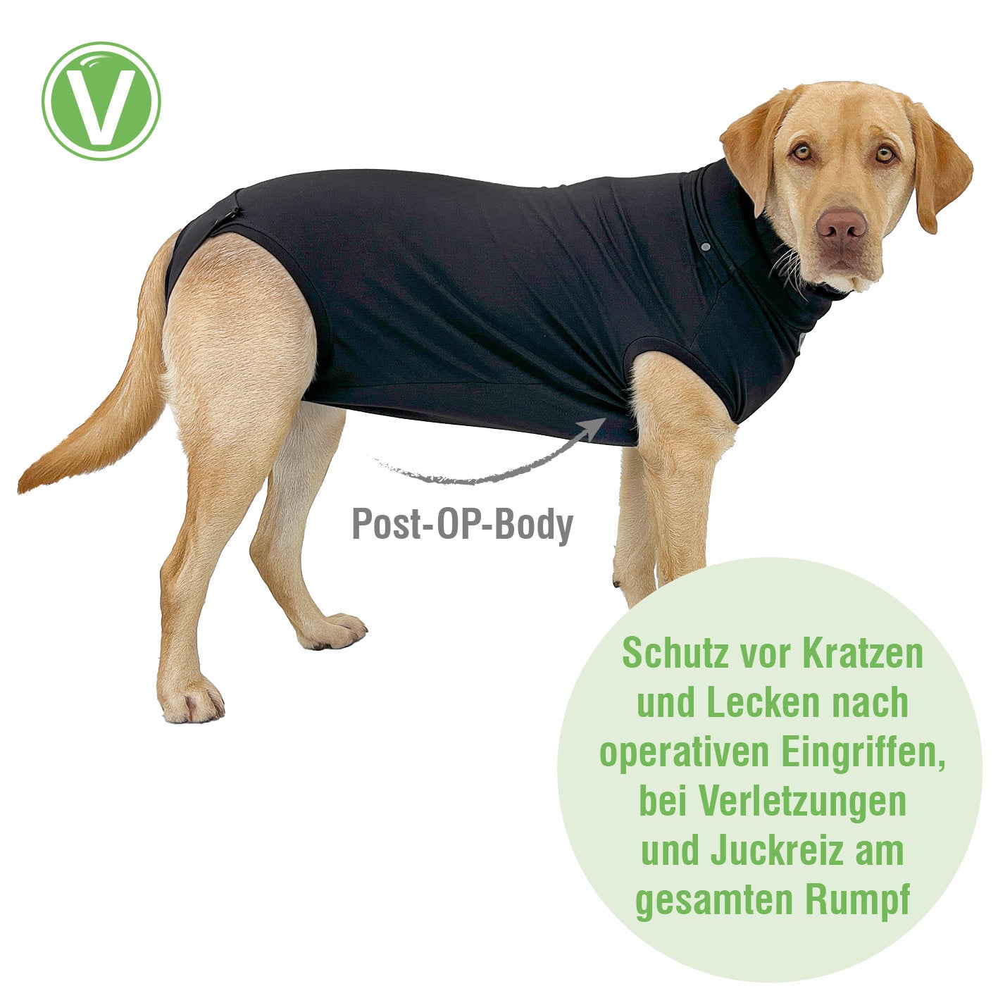 Vetlando-Post-OP-Body-2