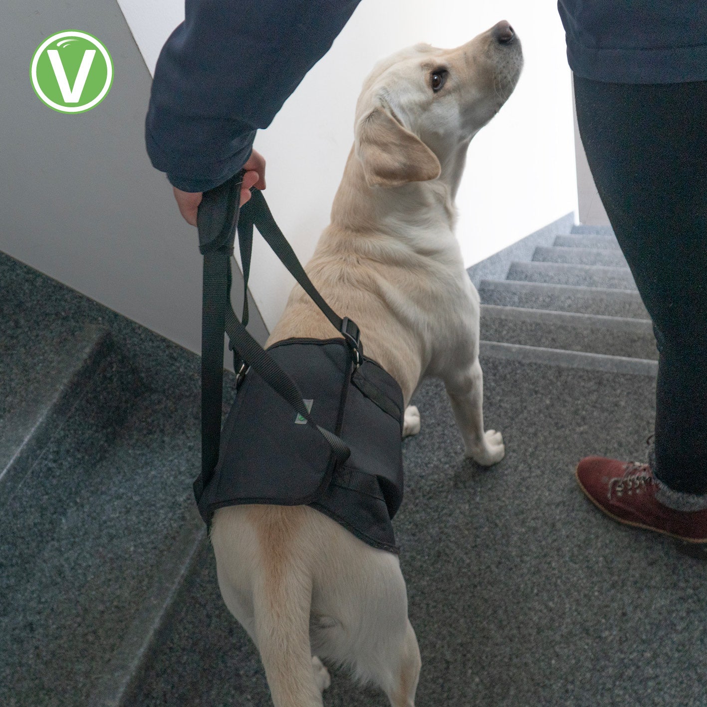 Vetlando-Tragehilfe-8