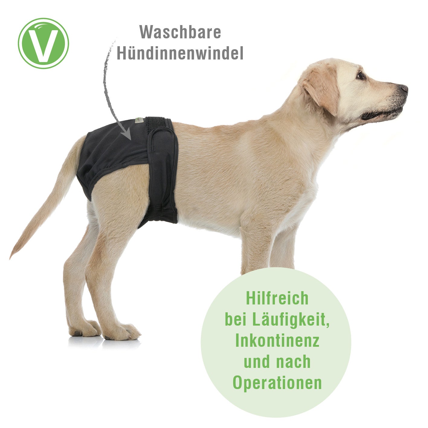 Vetlando-Waschbare-Huendinnenwindel-2