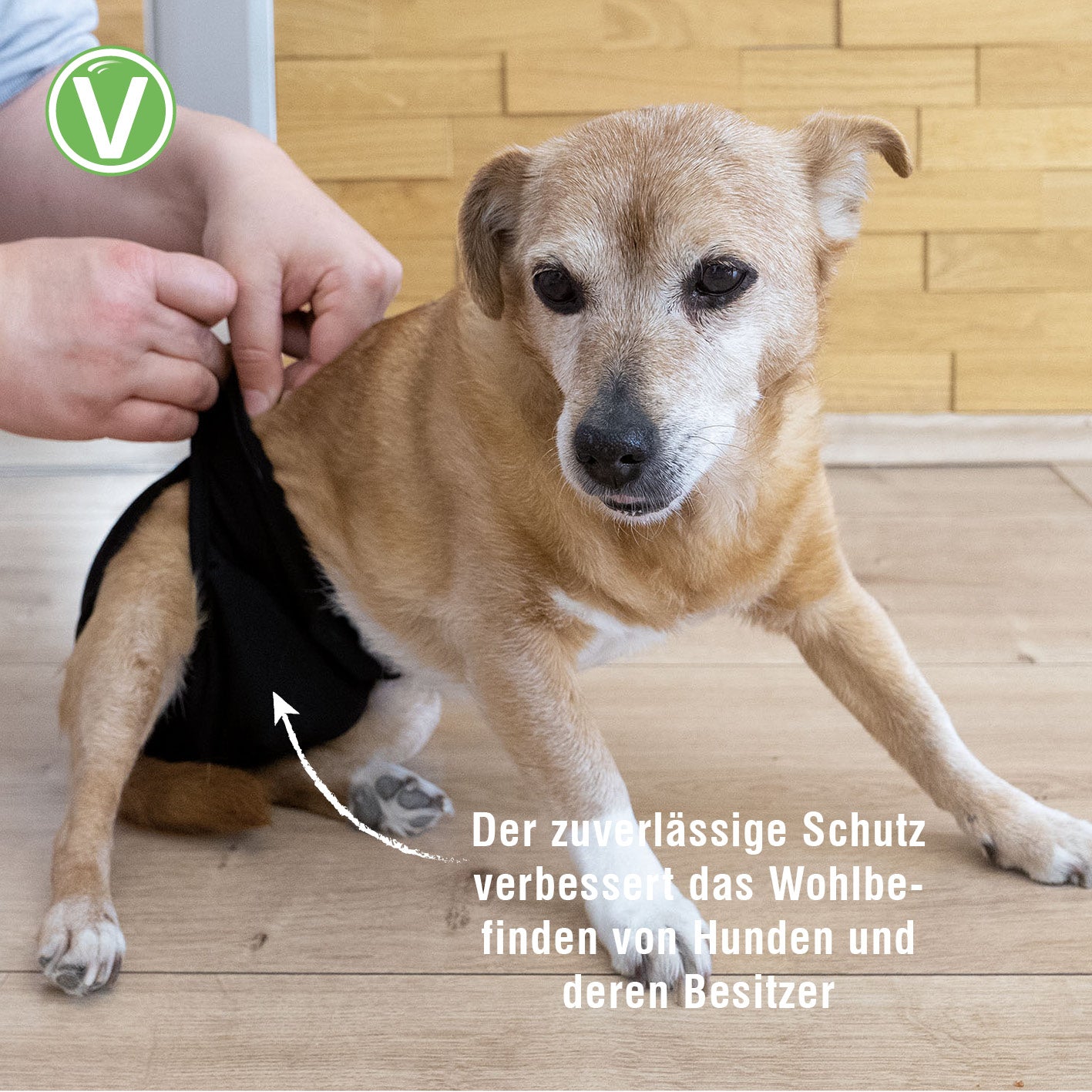 Vetlando-Waschbare-Huendinnenwindel-8