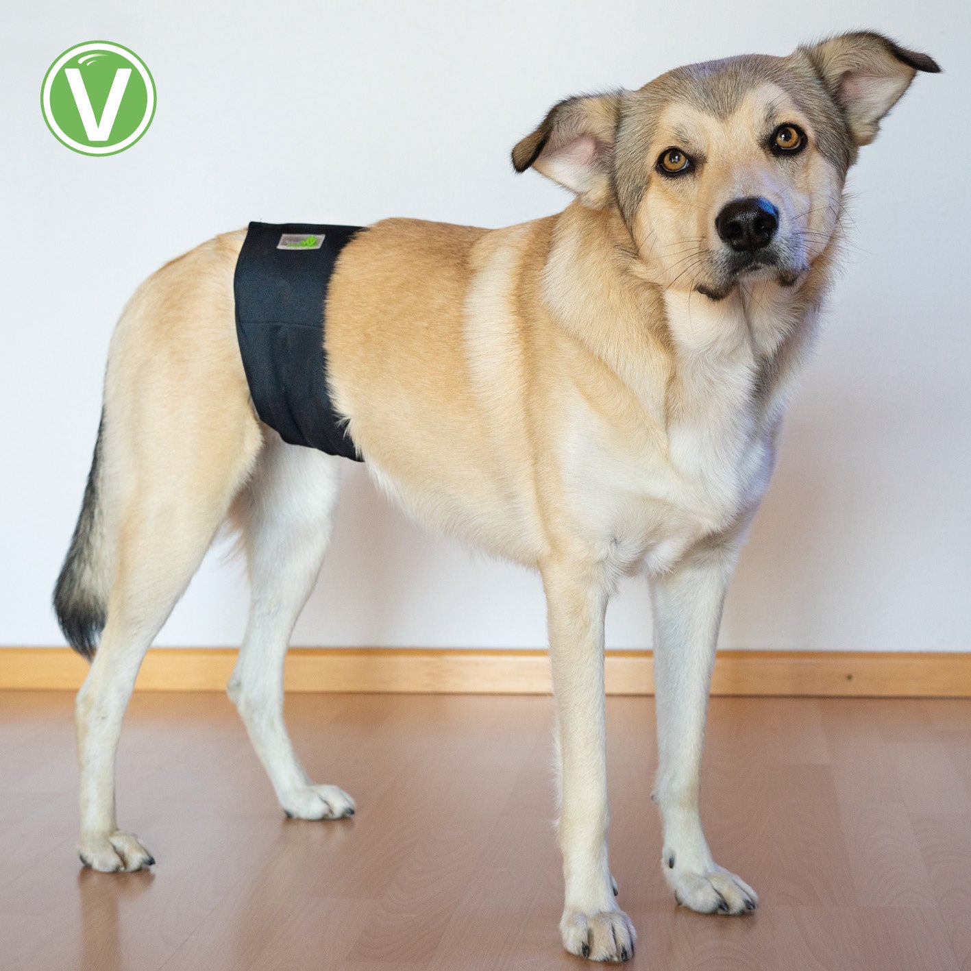 Vetlando-Waschbare-Ruedenwindel-7