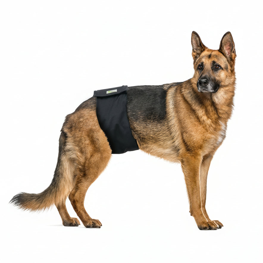 Vetlando-Waschbare-Ruedenwindel