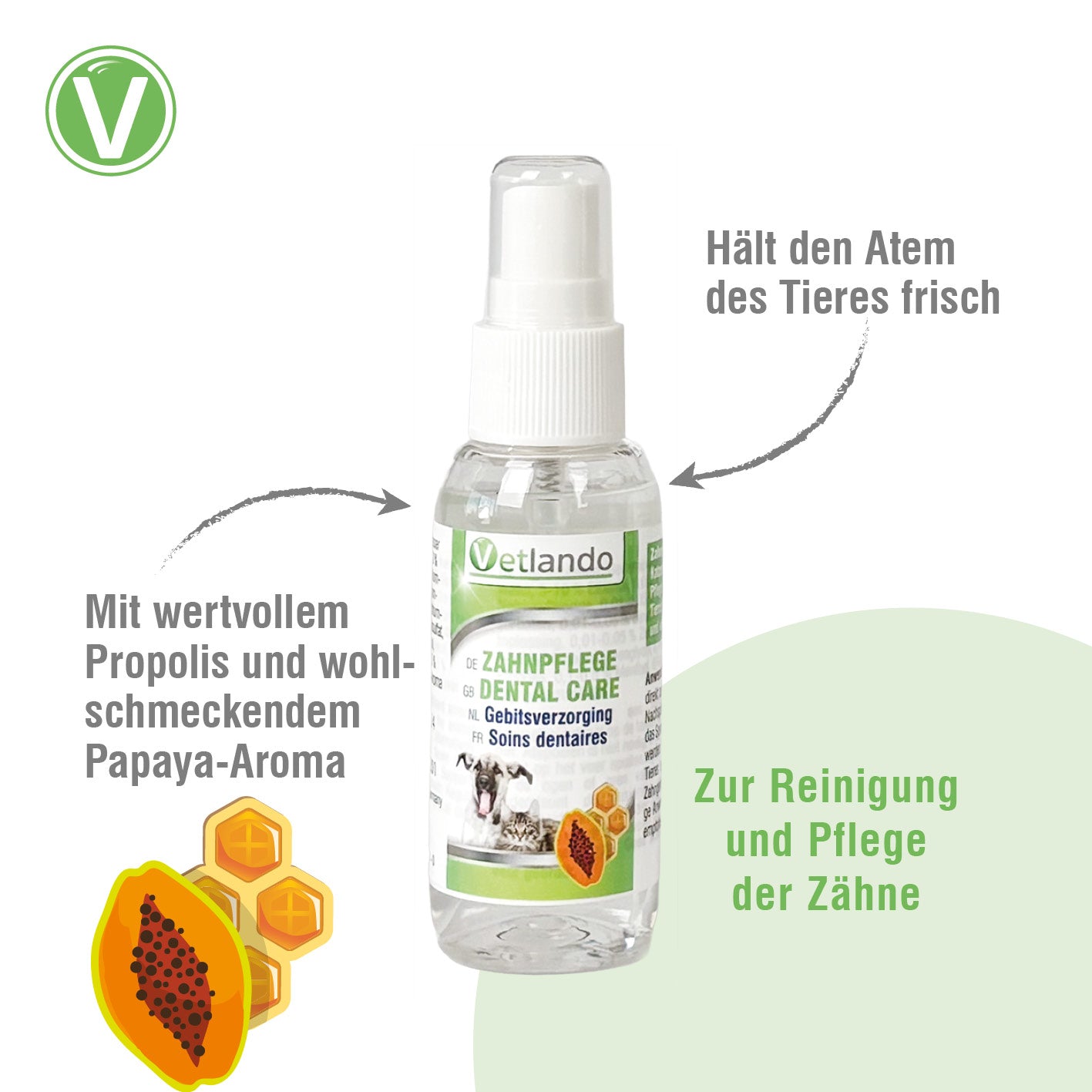 Vetlando-Zahnpflege-2