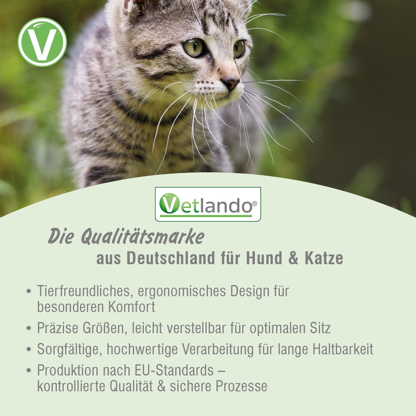 Kokolaurin Zecken- & Floh-Halsband für Katzen