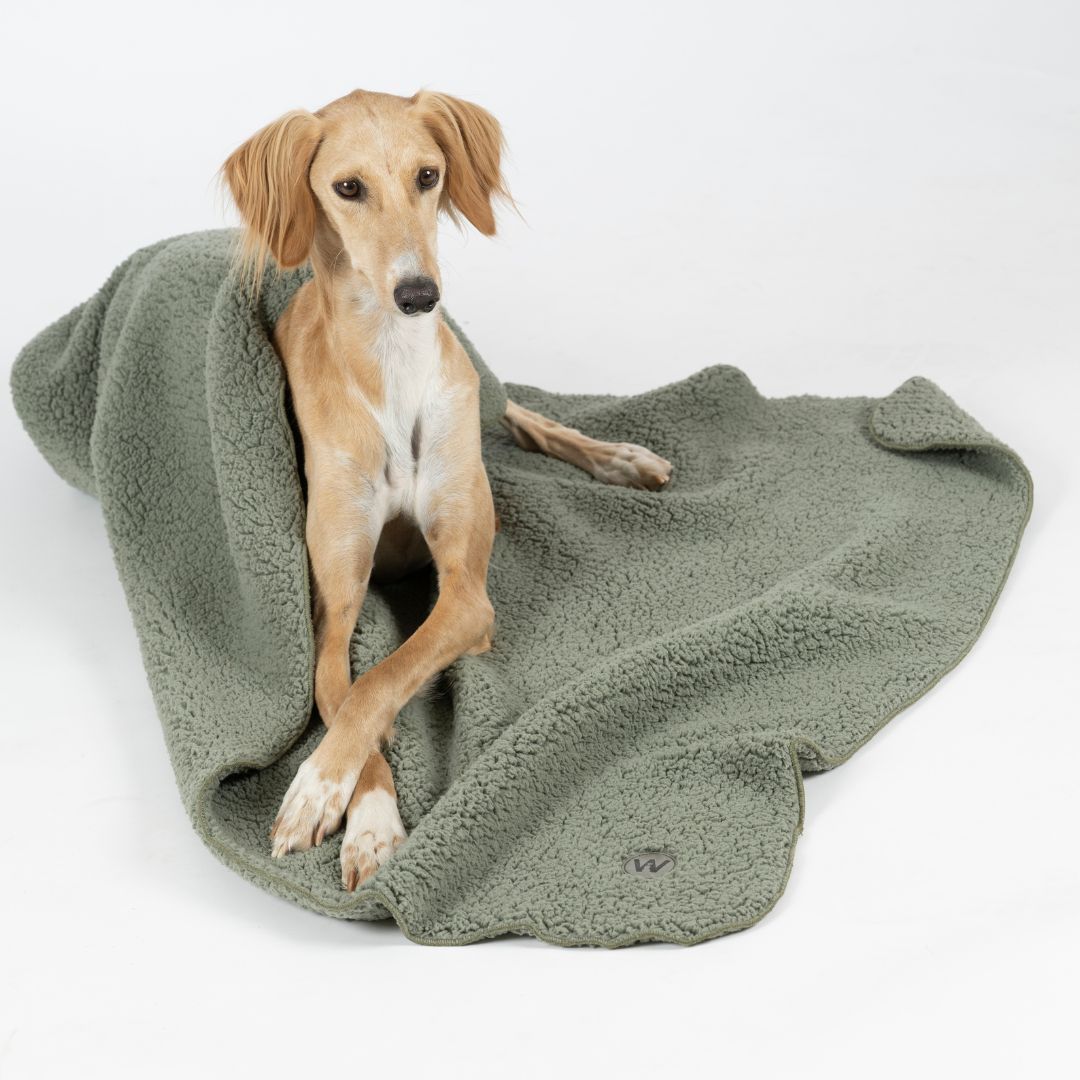Woofstuff-Hundedecke-Teddy-Soft-Olive-Hund