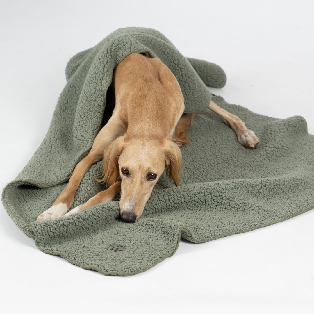 Woofstuff-Hundedecke-Teddy-Soft-Olive-Hund3