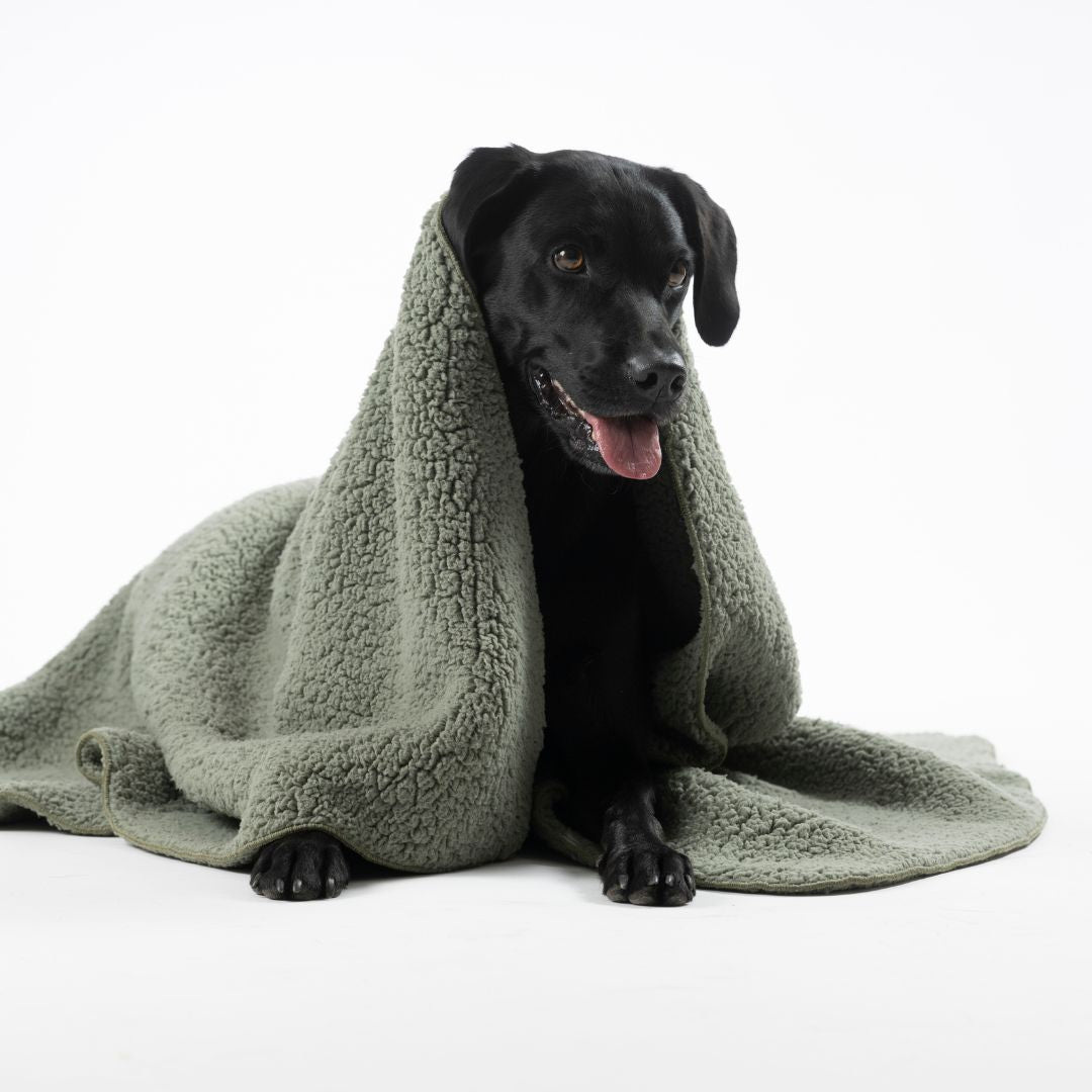 Woofstuff-Hundedecke-Teddy-Soft-Olive-Hund4
