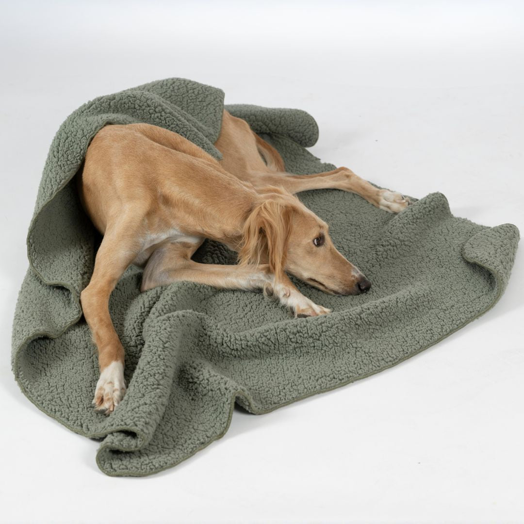 Woofstuff-Hundedecke-Teddy-Soft-Olive-Hund5