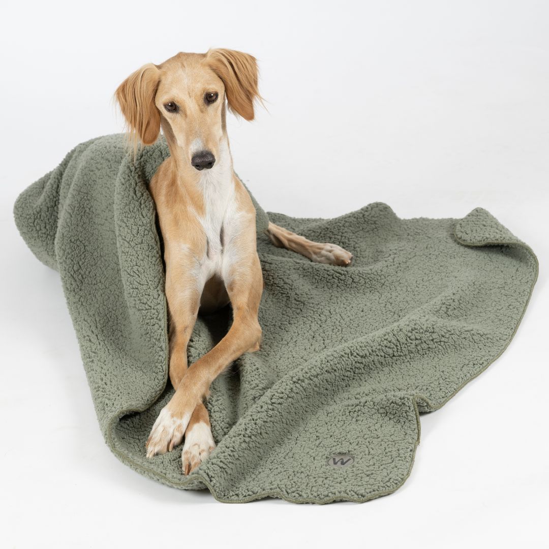 Woofstuff-Hundedecke-Teddy-Soft-Olive-Hund6