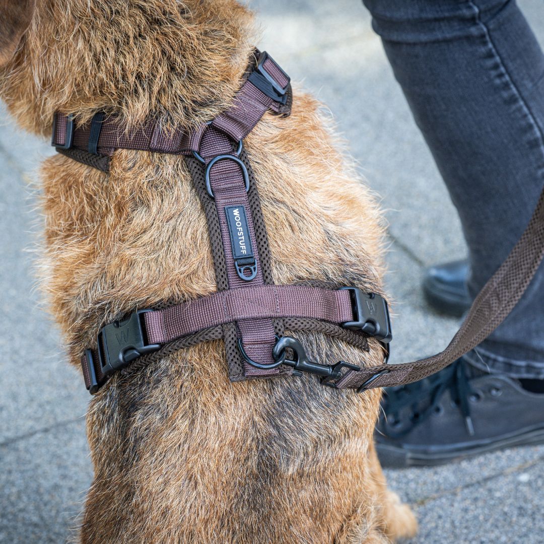 Y-Hundegeschirr Nova Chocolate