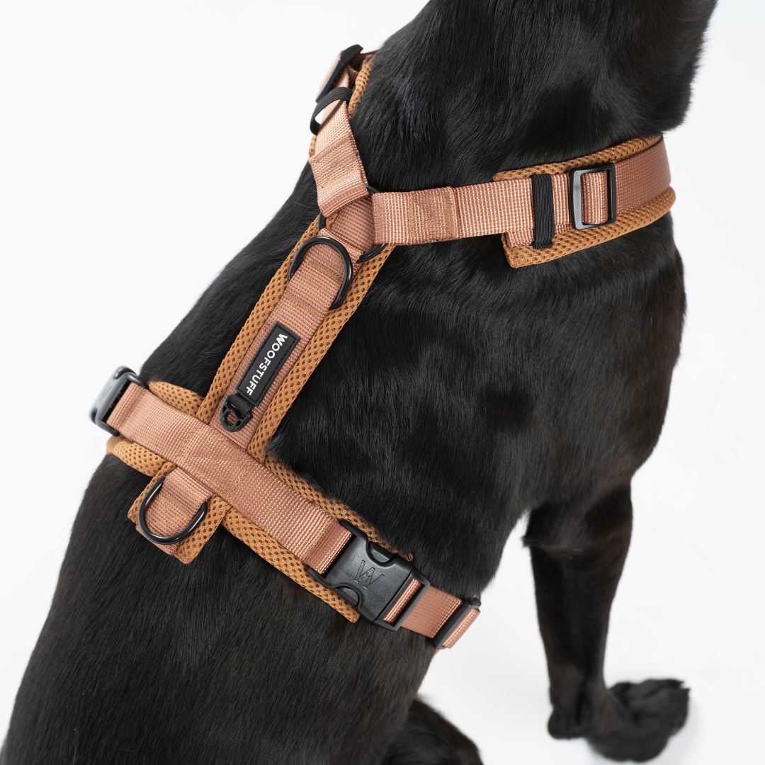 Y-Hundegeschirr Nova Cognac