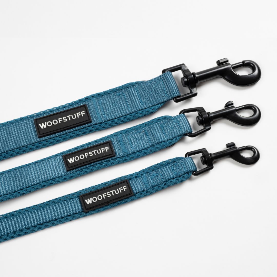 Woofstuff-Hundeleine-Nova-Petrol-Karabiner