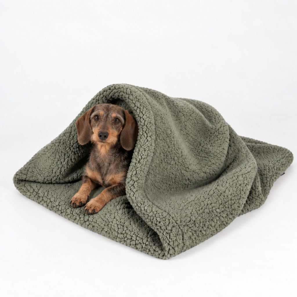 Woofstuff-Hundeschlafsack-Teddy-Soft-Olive-Dackel