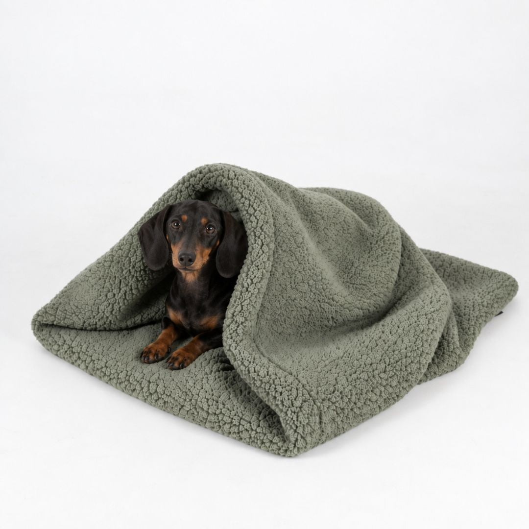 Woofstuff-Hundeschlafsack-Teddy-Soft-Olive-Hund-2