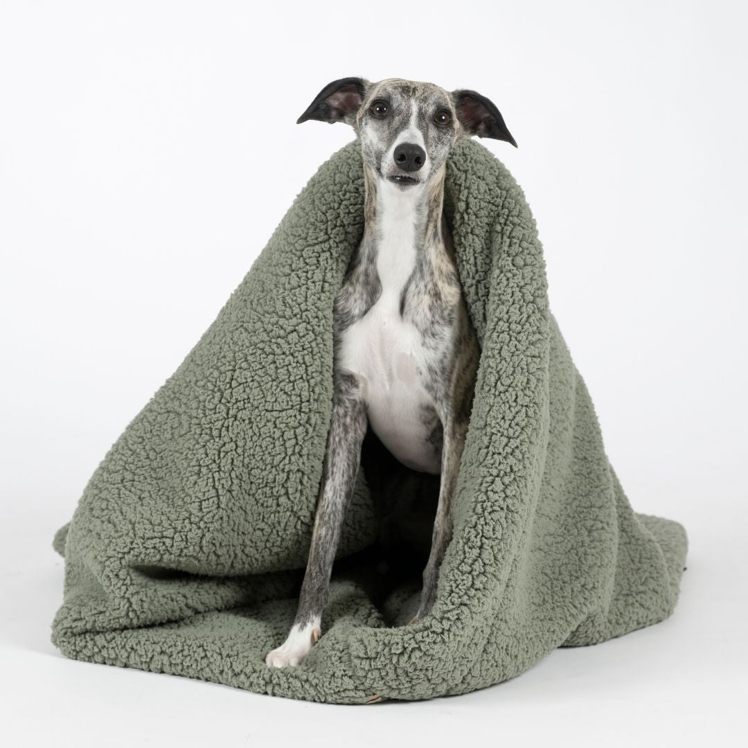 Woofstuff-Hundeschlafsack-Teddy-Soft-Olive-Hund-3