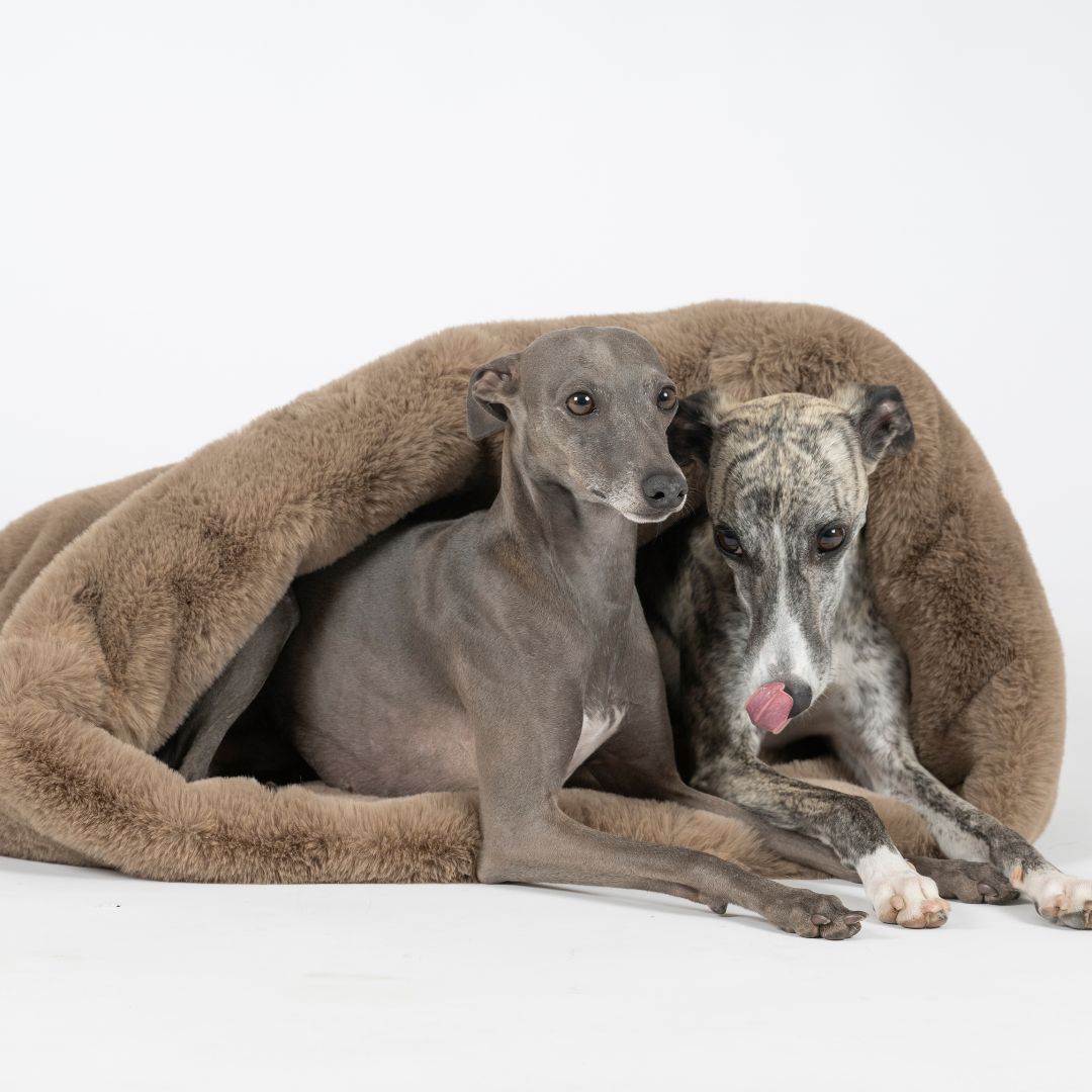 Woofstuff-Kuschelschlafsack-Fluffy-Taupe-Hund4