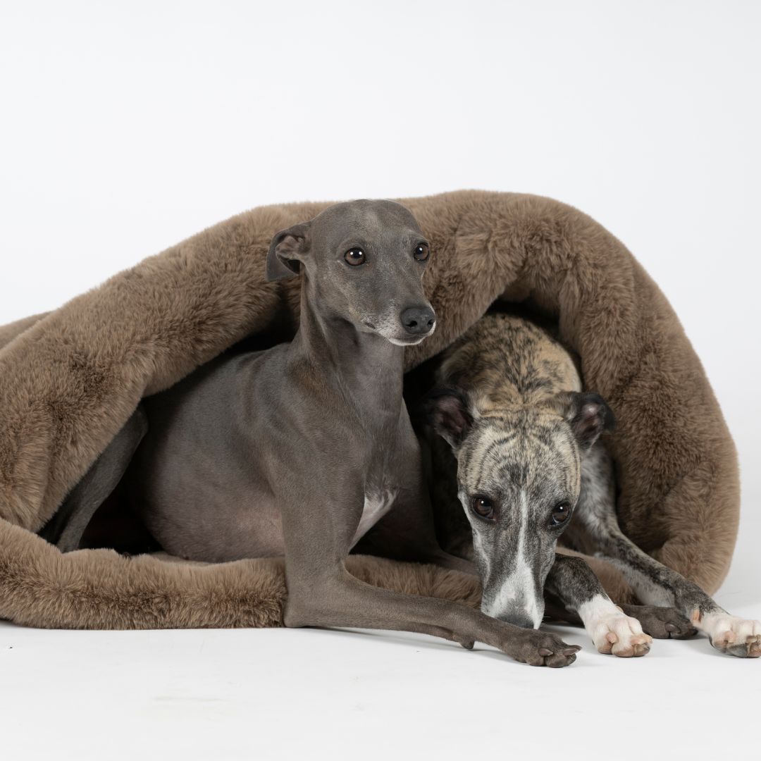 Woofstuff-Kuschelschlafsack-Fluffy-Taupe-Hund5