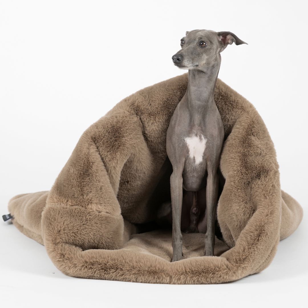Woofstuff-Kuschelschlafsack-Fluffy-Taupe-Hund8