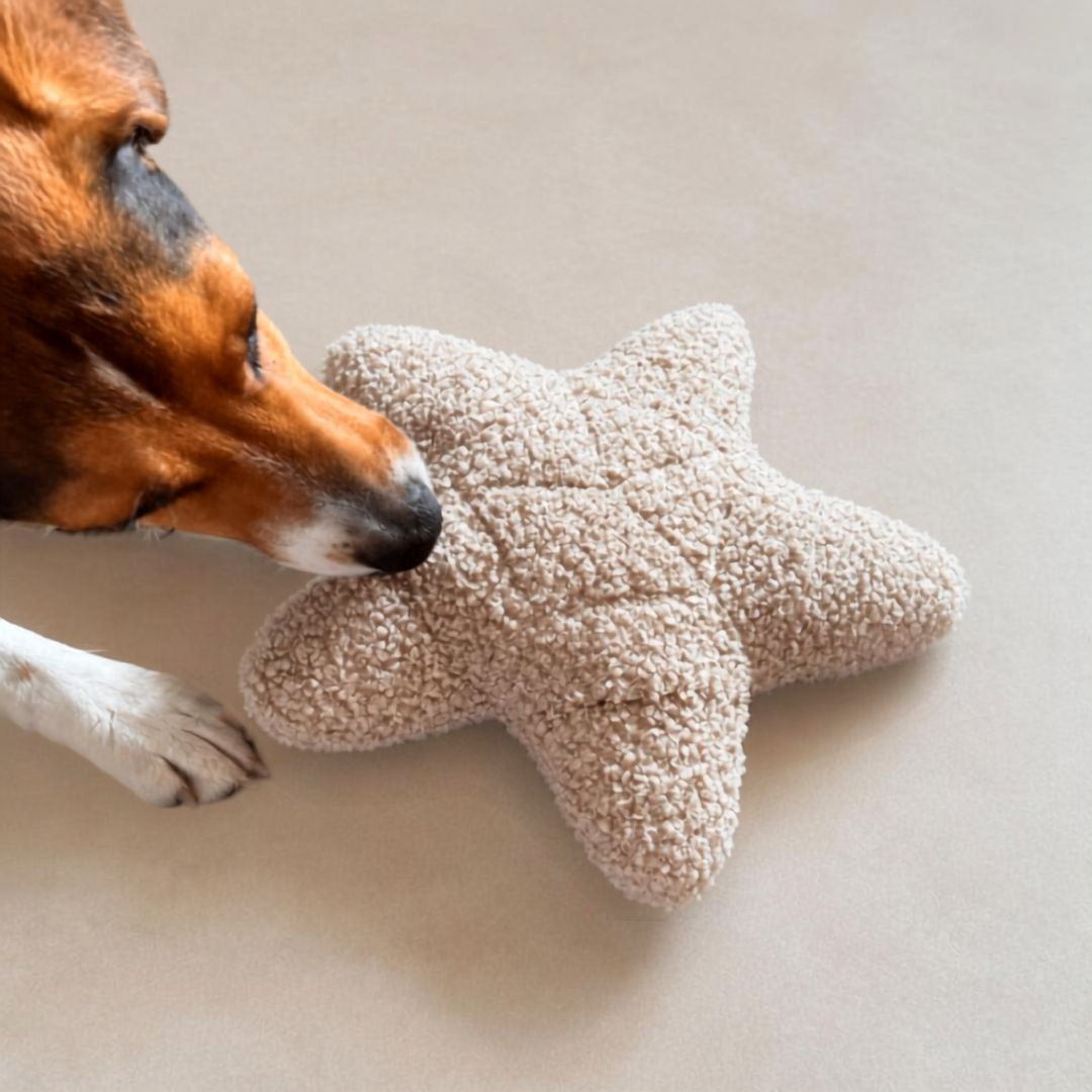 Woofstuff-Schnüffelstern-Greige-Hund7