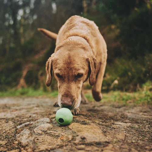 Beco Ball Grün