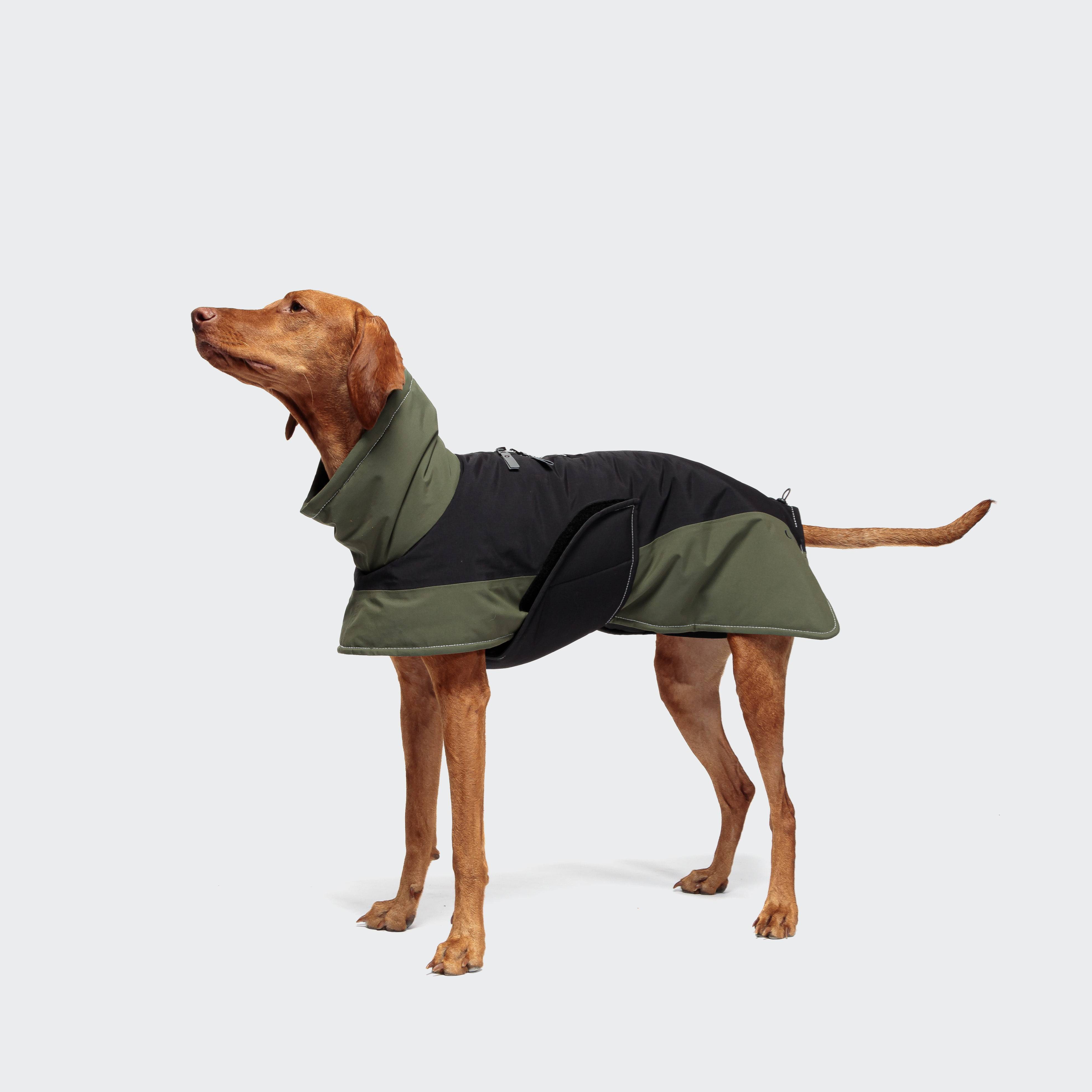 Cloud7-Hundemantel-Winter-Everest-Black-Olive-Hund