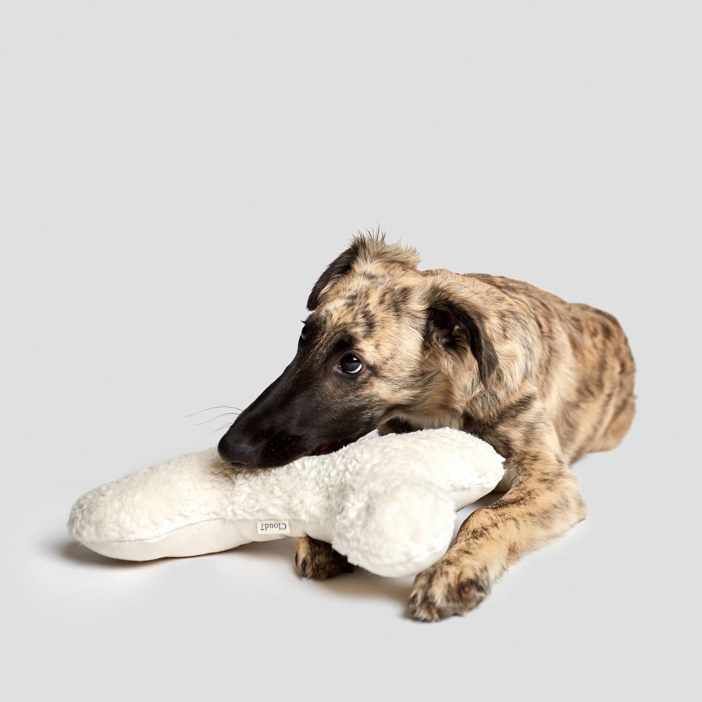 Cloud7-Plüsch-Hundespielzeug-Love-Bone-White-Hund