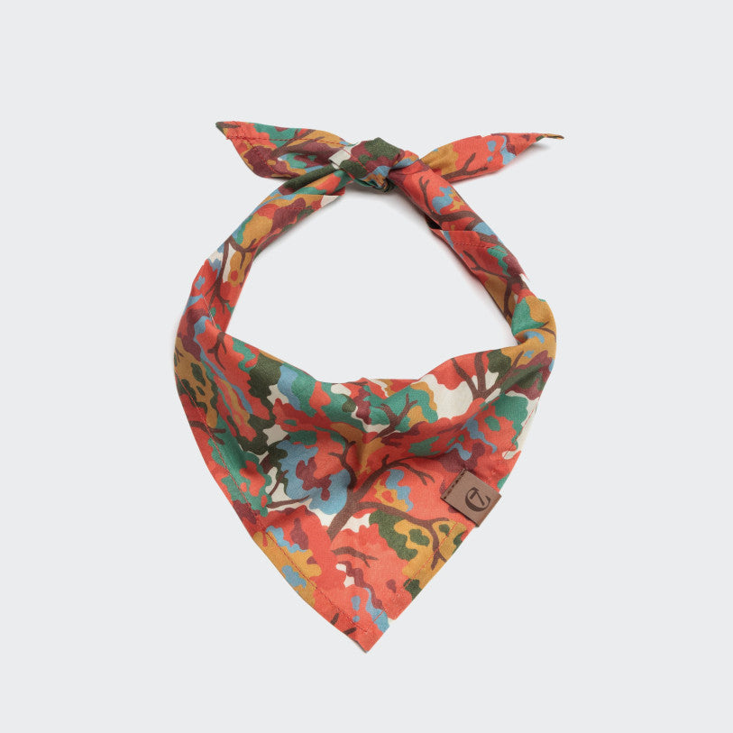 Cloud7-Hundehalstuch-Bandana-Woodland-Rot