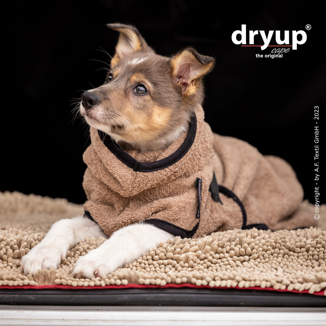 Hundebademantel-Dryup-Cape-Mini-Coffee-Hund