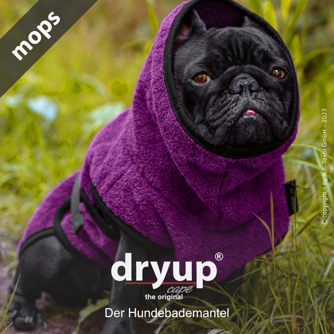 Hundebademantel-Dryup-Cape-Mops-Bilberry
