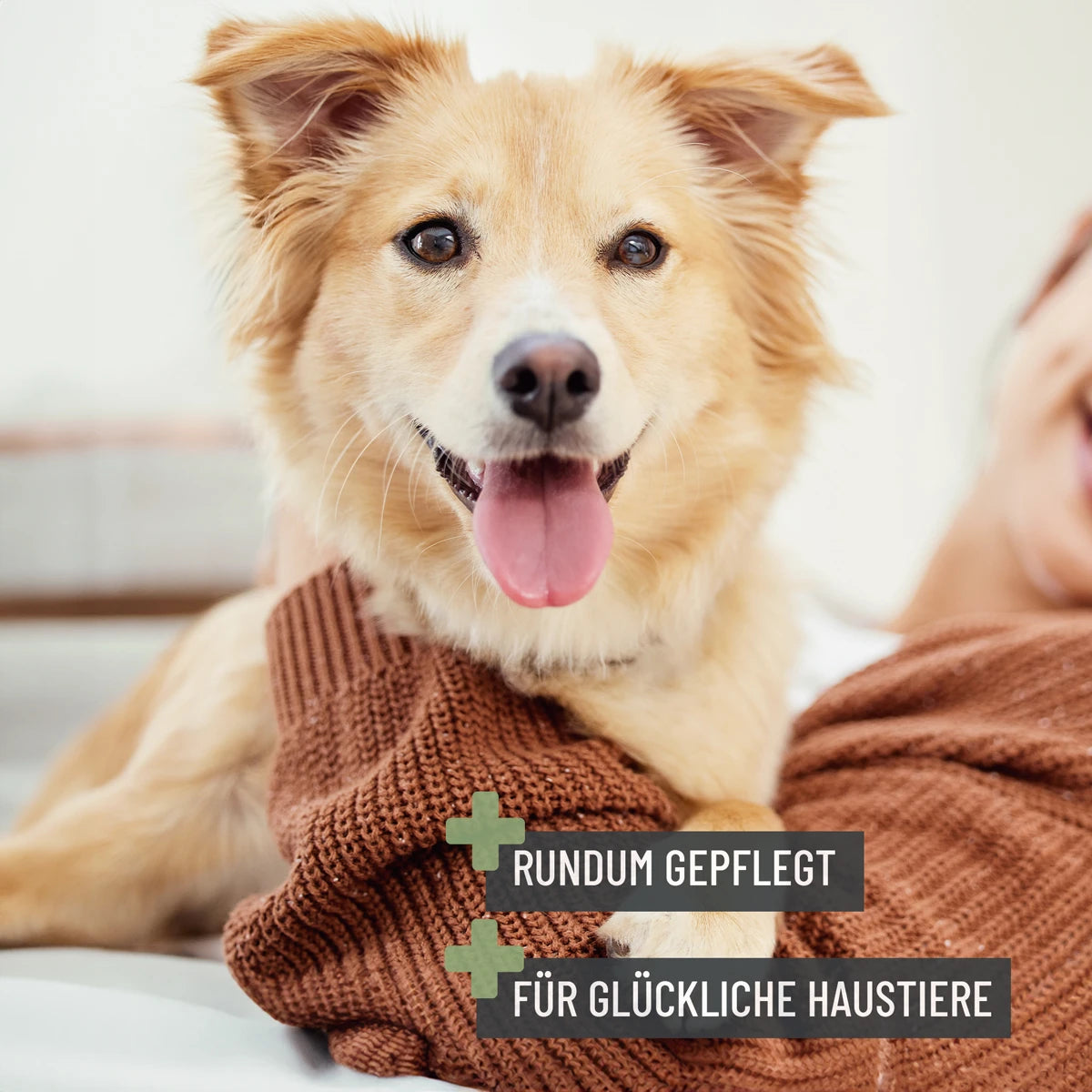 ReaVET-Fellkamm-2in1-Hund2