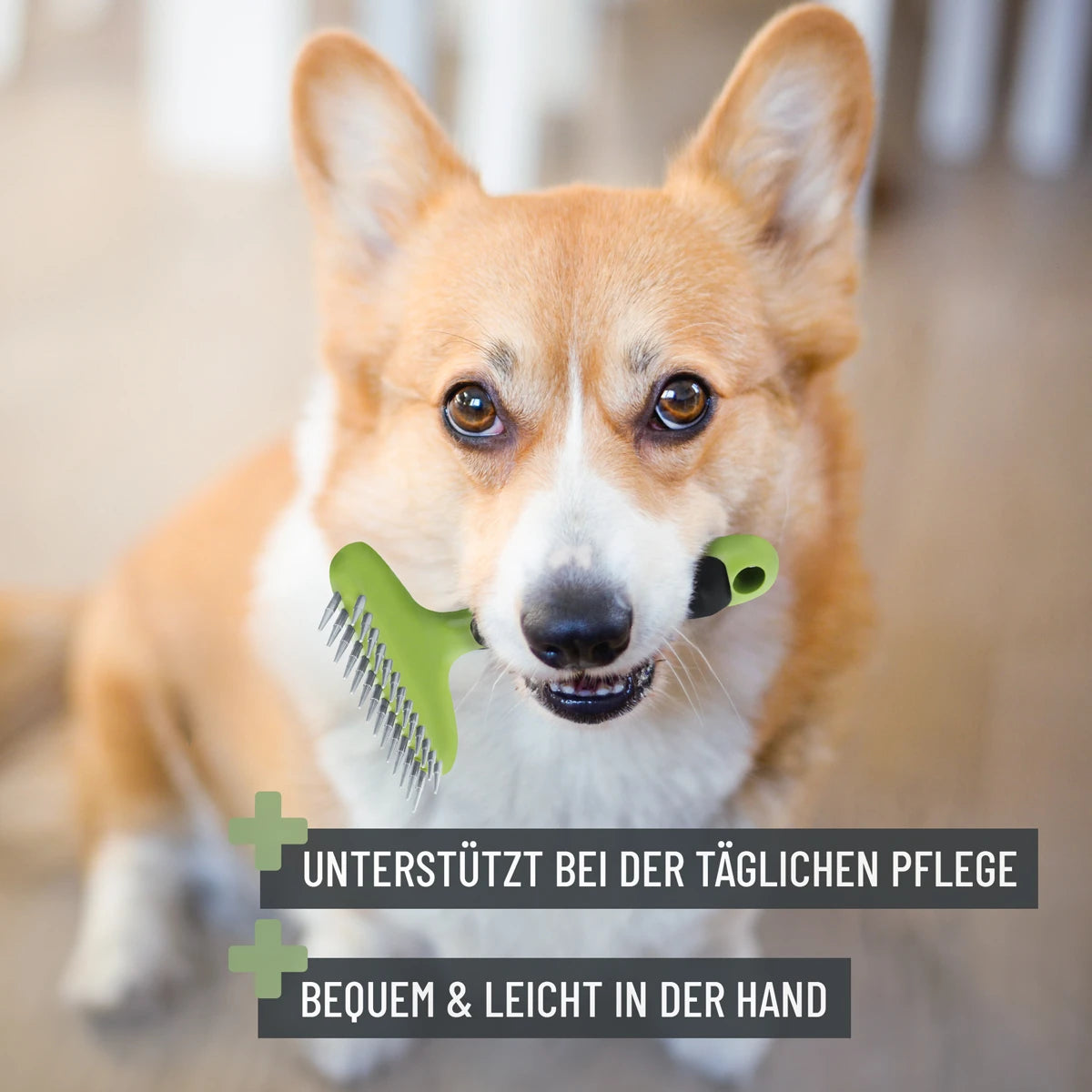 ReaVetFellstriegel-Hund2