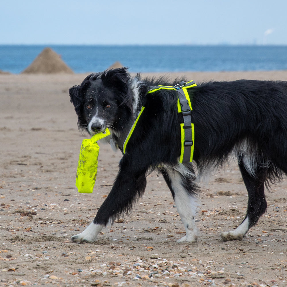 Hundegeschirr PROTECT leuchtgelb/grau