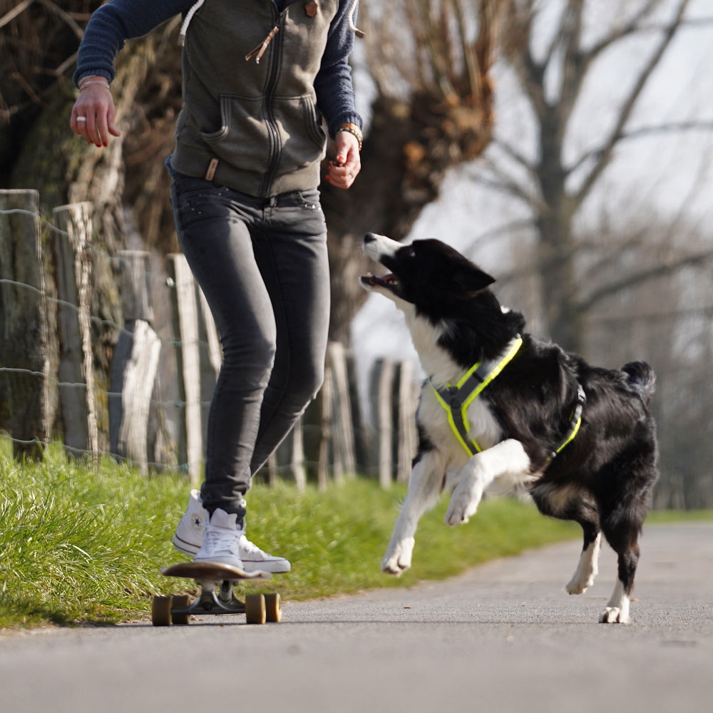 Hundegeschirr PROTECT leuchtgelb/grau