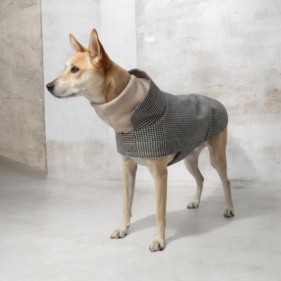 Hundemantel Brooklyn SHERLOCK C7 x Woofstuff