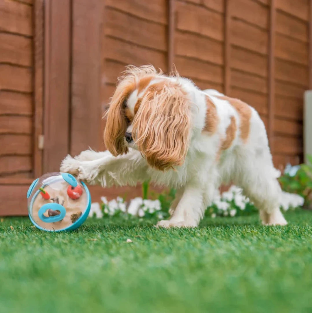 Wobble Ball