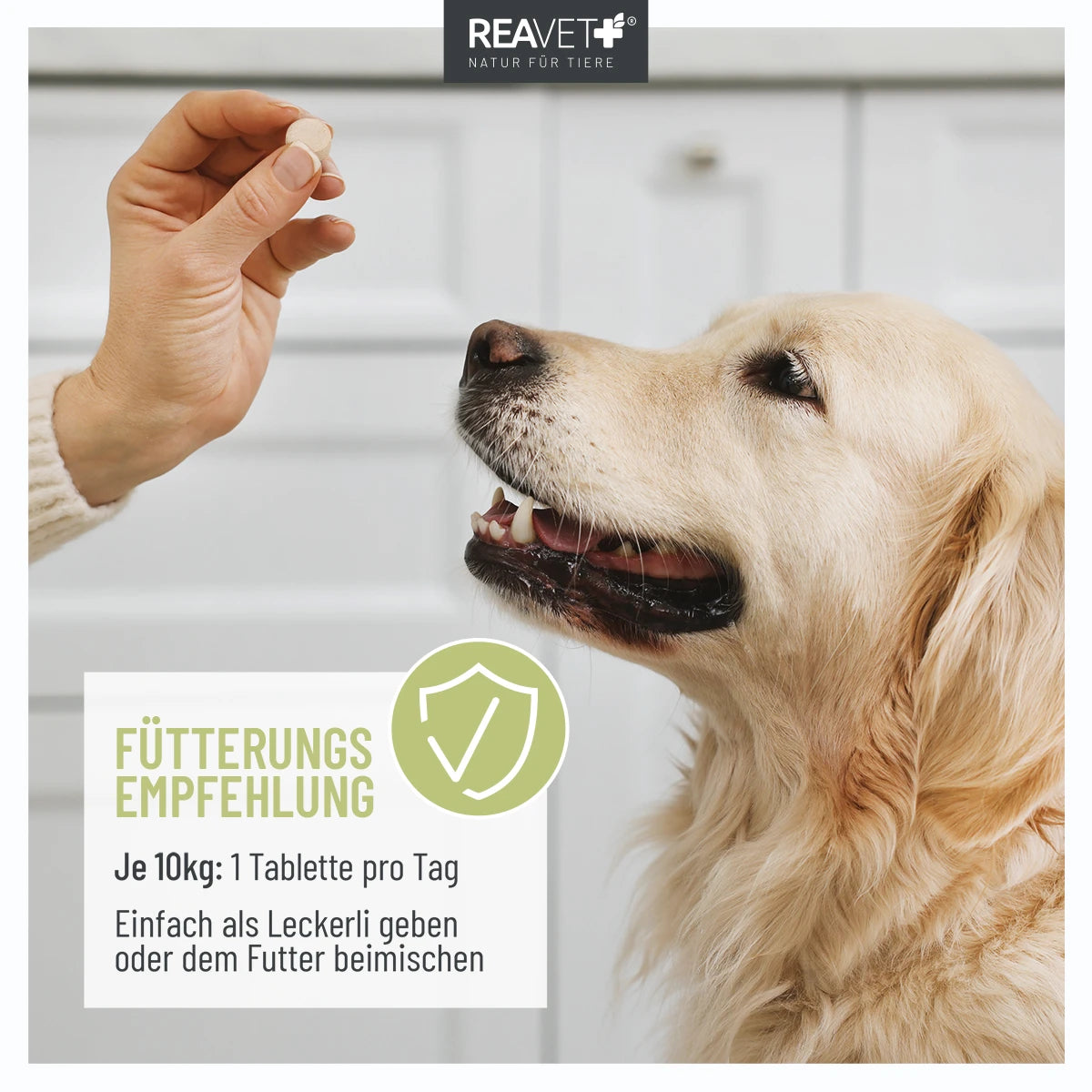 Z-Blocker Tabletten für Hunde