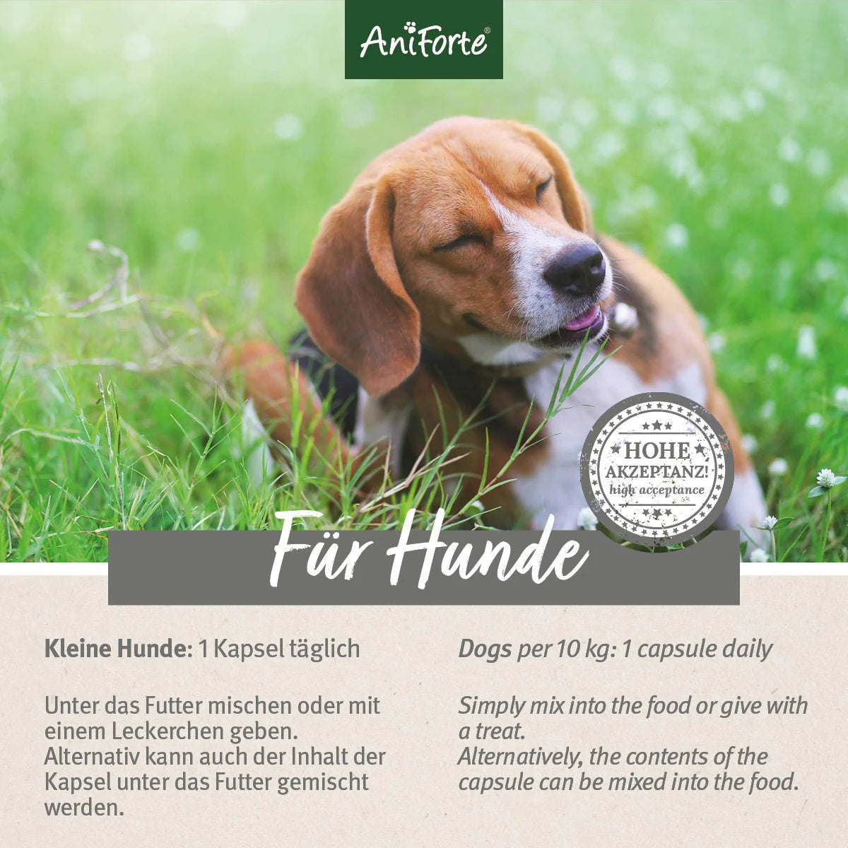 Aniforte-Zeckenschild-Kapseln-kleine-Hunde-Fütterungsempfehlung