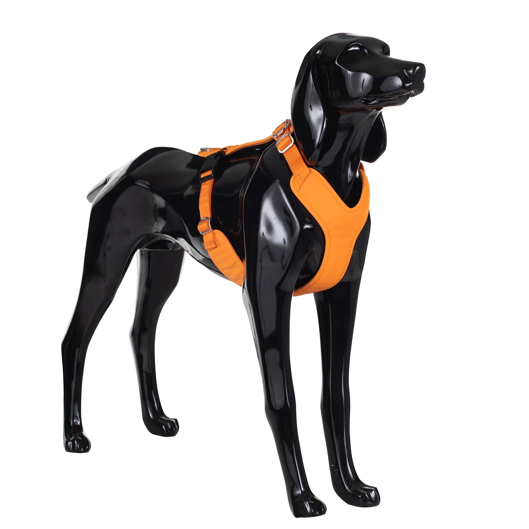 Paikka-Hundegeschirr-Visibility-Harness-Orange