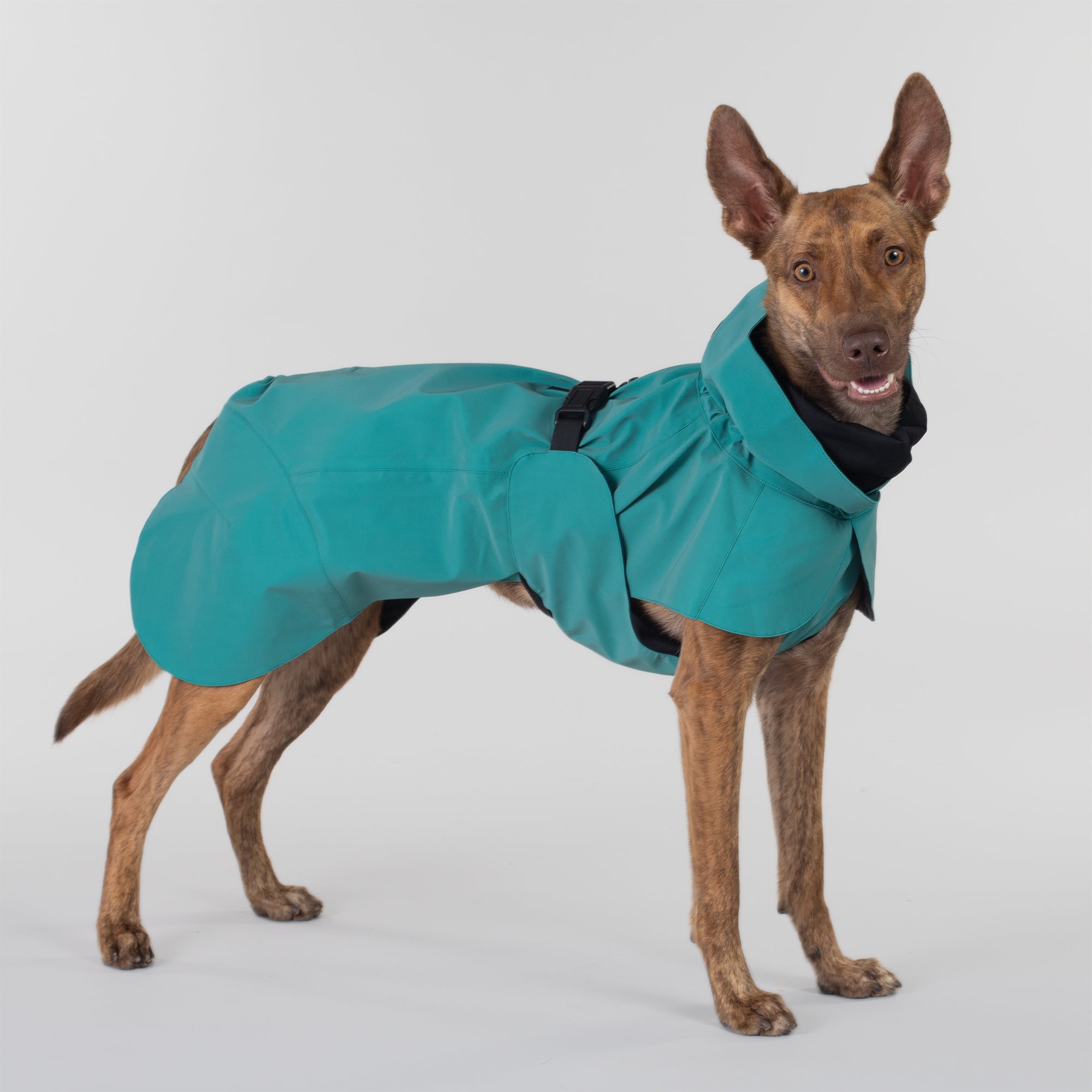 Paikka-vollreflektierender-Hundewintermantel-Emerald-Hund1
