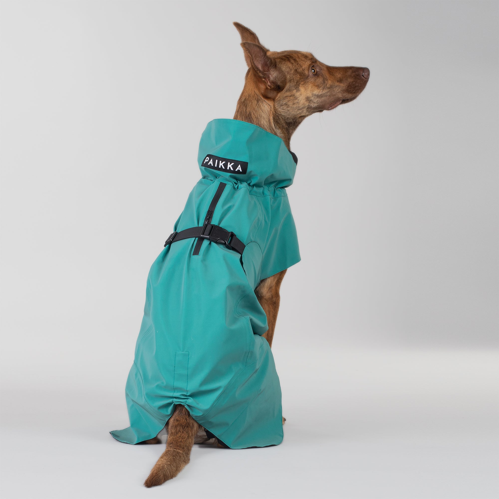 Paikka-vollreflektierender-Hundewintermantel-Emerald-Rückseite