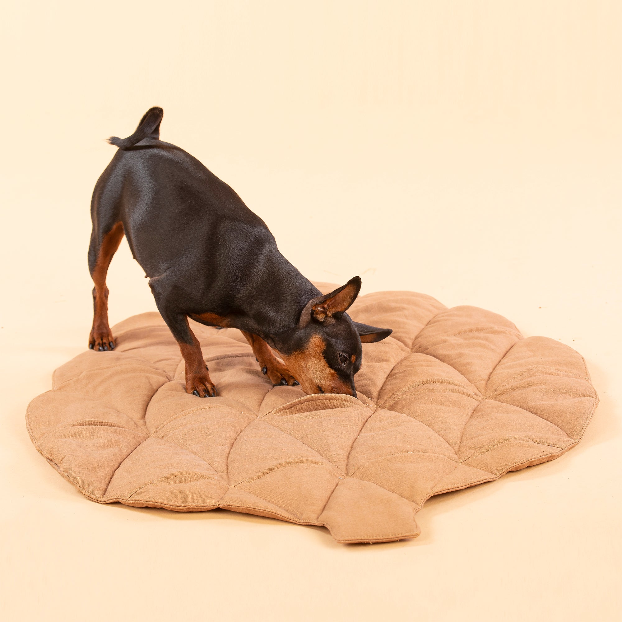 Paikka-Pine-Cone-Schnüffelmatte-Spielmatte-Schnüffelteppich-Hund