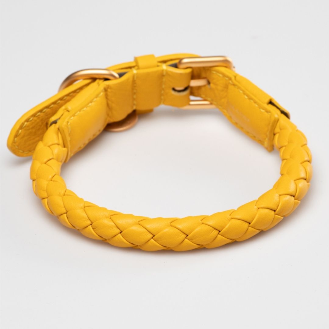 2.8-duepuntootto-hundehalsband-ferdinando-leather-collar-tuscan-yellow-Rückseite